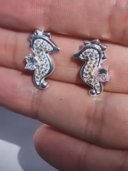 Aros caballito de mar
